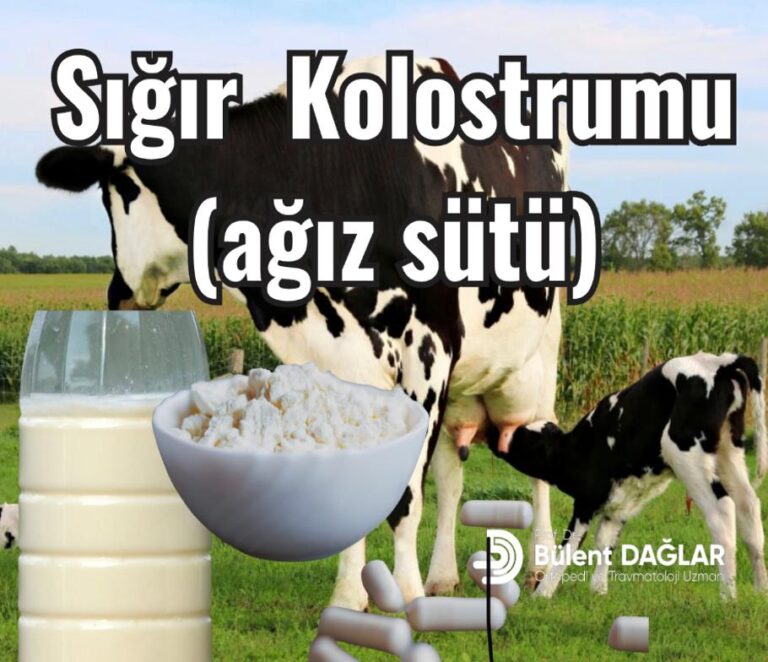 Sığır kolostrumu
