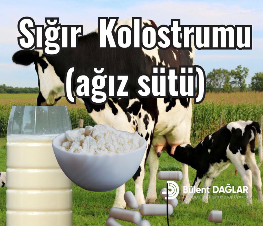 Sığır kolostrumu